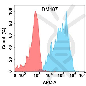 Anti-IL2 antibody(DM187), Rabbit mAb