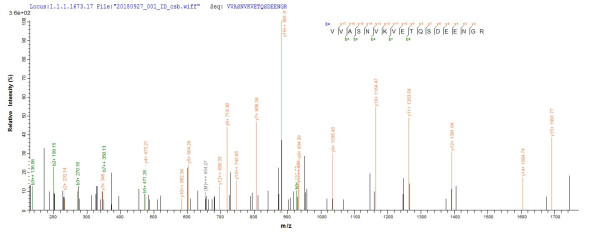 DNA-binding protein Ikaros (IKZF1), human, recombinant