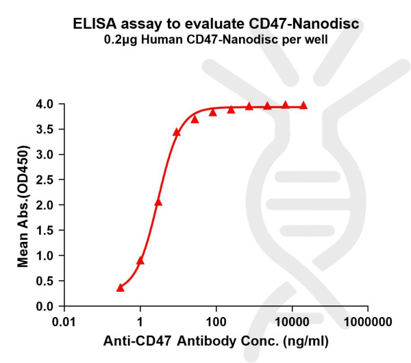 CD47 (human) full length protein-synthetic nanodisc