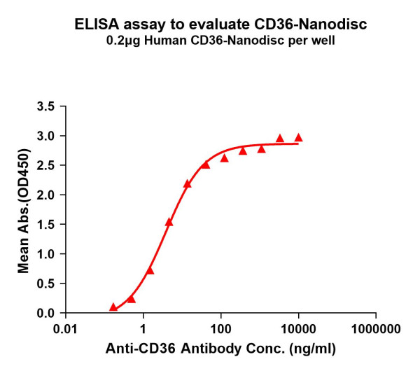 CD36 (human) full length protein-synthetic nanodisc