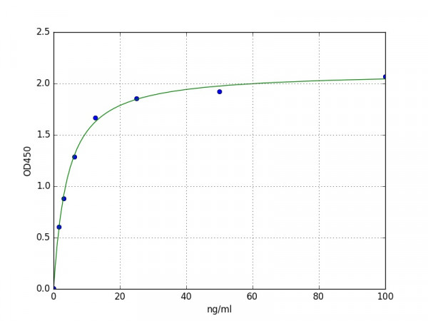 Human Semaphorin 3B / SEMA3B ELISA Kit