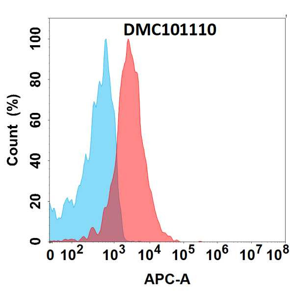 Anti-FLT3 antibody(19A5), IgG1 Chimeric mAb